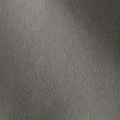 11001131 - BEOLA